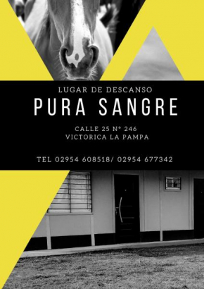 PURA SANGRE, Victorica